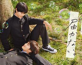 鄞州附近网站优化哪家强